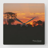 Acacia Sunset Vierkante Klok (Voorkant)
