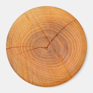 Acacia Tree Cross Section Large Round Magnet Magneet