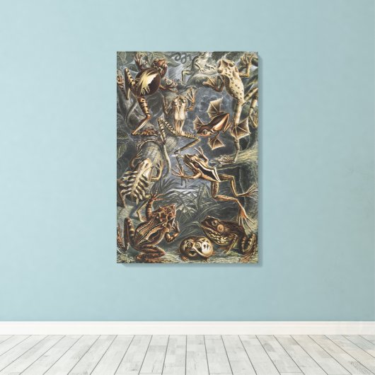 Academia Noire Haeckel Impression Vintage Grenouil (Insitu (Plancher de Bois))