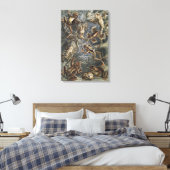 Academia Noire Haeckel Impression Vintage Grenouil (Insitu(Chambre))