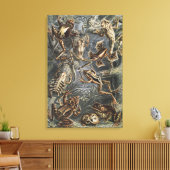 Academia Noire Haeckel Impression Vintage Grenouil (Insitu(Salon))