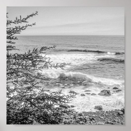 Acadia Maine Coastline Black and White Archival Poster (Voorkant)
