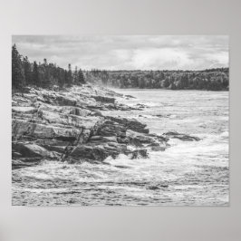 Acadia Maine Rocky Coastline Black en White Poster