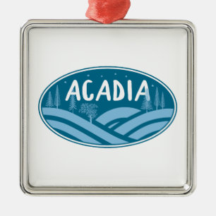 Acadia Nationaal Park Buiten Metalen Ornament