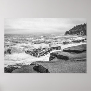 Acadia Rocky Coastline in Maine Black en White Poster