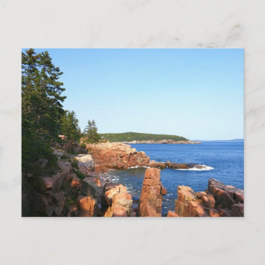 Acadia rotsachtig strand nabij Thunder Hole Briefkaart (Voorkant)