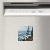 Acadia Shore Magnet - 1 Magneet (Insitu (Vaatwasser))