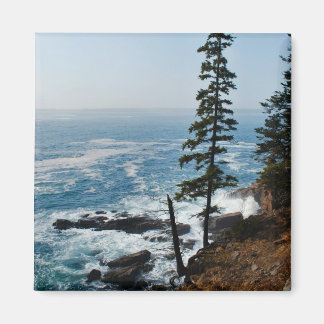 Acadia Shore Magnet - 1 Magneet