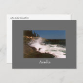 Acadia Surf Briefkaart - 1 (Voorkant / Achterkant)