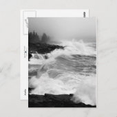 Acadia Surf Briefkaart - 3 (Voorkant / Achterkant)