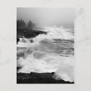 Acadia Surf Briefkaart - 3