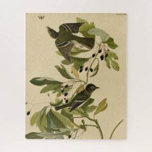 Acadian Flycatcher van Audubon's Birds of America Legpuzzel