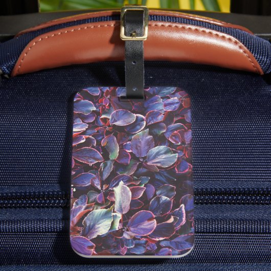 Acalypha Wilkesiana Bagagelabel (Voorkant Insitu 2)