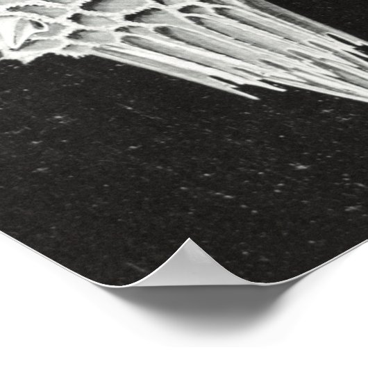 Acanthophracta, schaars, waterdier poster (Hoek)