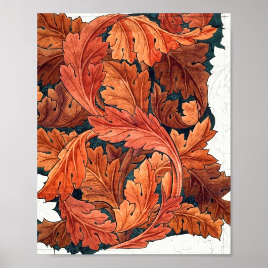 Acanthus (1879-1881) van William Morris Poster (Voorkant)