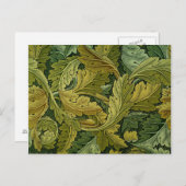 Acanthus briefkaart (Voorkant / Achterkant)