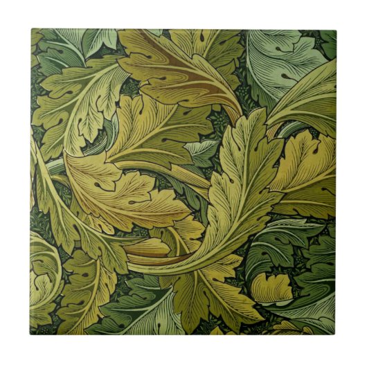 Acanthus tiel tegeltje (Voorkant)