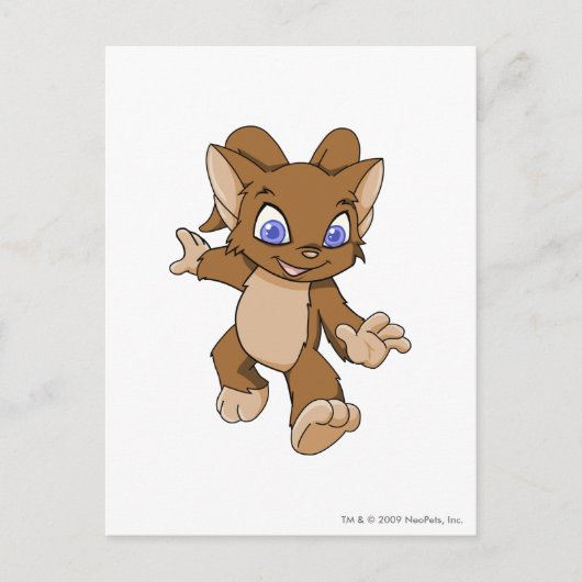 Acara Brown Briefkaart (Voorkant)