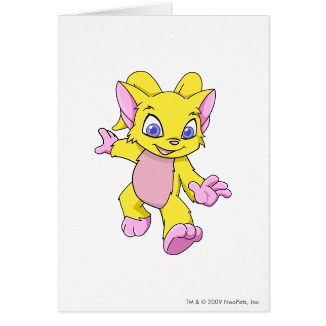 Acara Yellow (Voorkant)