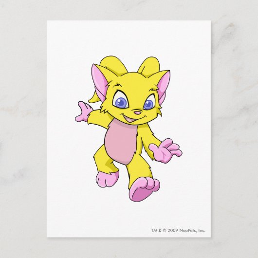 Acara Yellow Briefkaart (Voorkant)