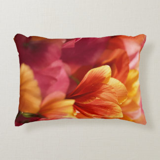 Accent Coussin