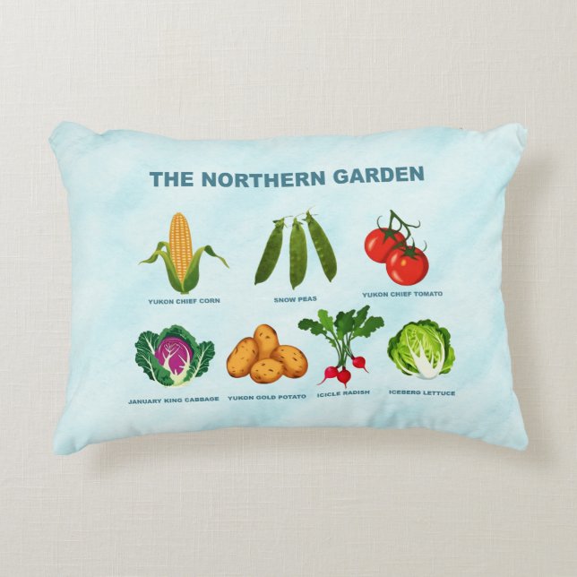 Accent Pillow Accent Kussen (Voorkant)