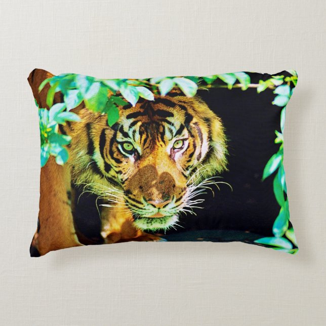 Accent Pillow Kussen (Voorkant)