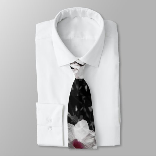 Accentuation de la cravate de beauté (Attaché)