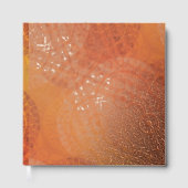 Acceptation | Médaillons de saumons rouges orange (Recto)