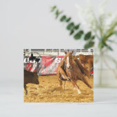 Accessoires Cabernet CHA Carte Postale 5 (Debout devant)