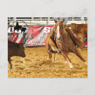 Accessoires Cabernet CHA Carte Postale 5 Briefkaart