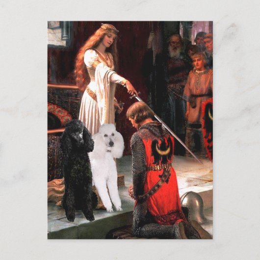 Accolade - Poedel (2 standaard) Briefkaart (Voorkant)