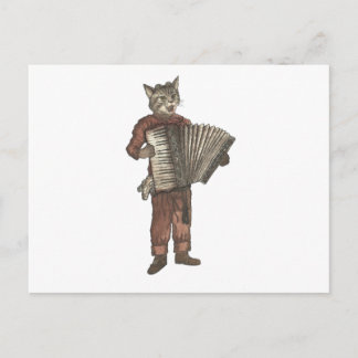 Accordion Cat Briefkaart