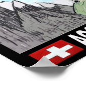 Accordion Dromers Poster (Hoek)