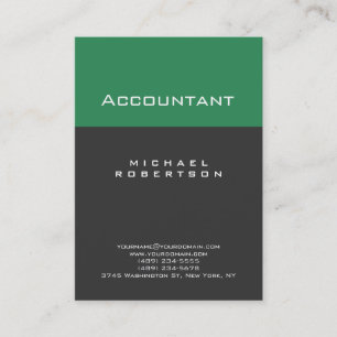 Accountant Zee Groen Grijs Chubby Visitekaartje