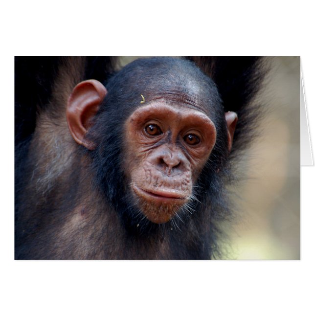 Accroché (Devant horizontal)