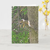 Accrochez-vous à l'écureuil mignon dans la carte d (Fleur jaune)