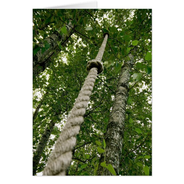 Accrochez-vous et profitez de la balade (Devant)