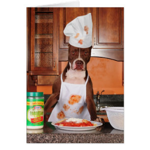 Accueil à ma cuisine