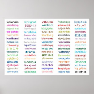 Accueil colossal en affiche de 80 langues - 5