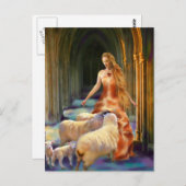 Accueil de la carte postale Lambs (Devant / Derrière)