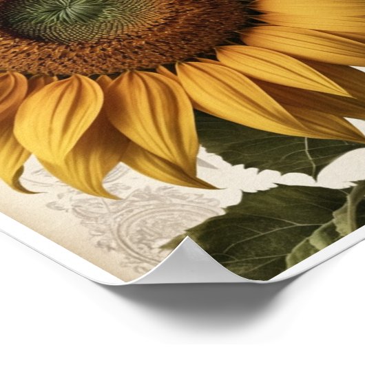 Accueil Décor Fleur de tournesol frais Poster d'ar (Coin)