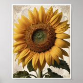 Accueil Décor Fleur de tournesol frais Poster d'ar (Devant)