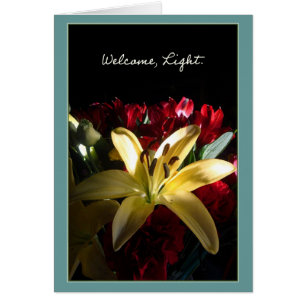 Accueil, lumière/Bienvenida, luz