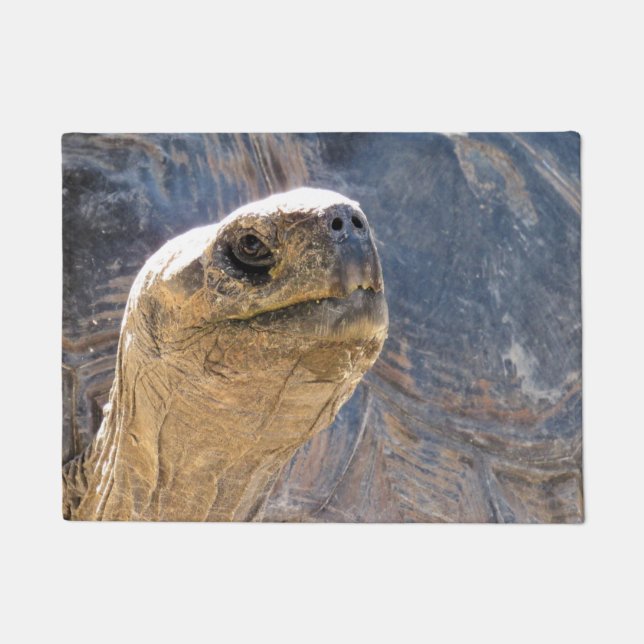 Accueil Tortoise - Tapis de porte (Devant)