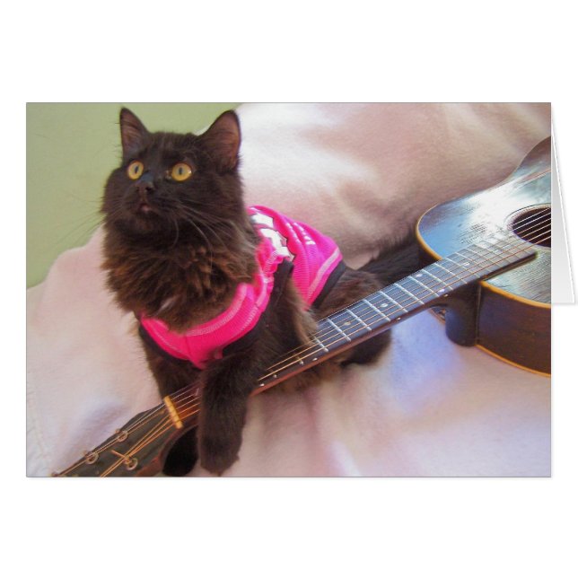 ACDC-shirt (Voorkant Horizontaal)