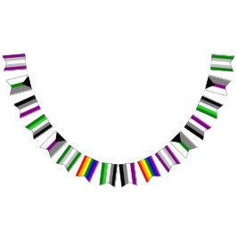 Ace/Aro Bunting Flags Vlaggetjes