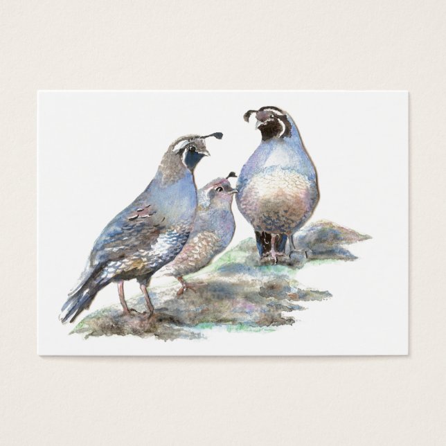 ACEO ATC California Quail (Devant)