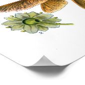 Acer platanoides (Noorse mantel) Poster (Hoek)