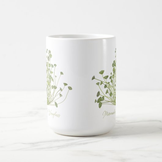 Acetabularia Mug d'algues (Centre)